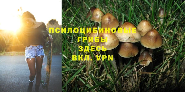 ECSTASY Заводоуковск