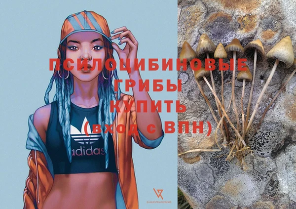 MDMA Premium VHQ Армянск