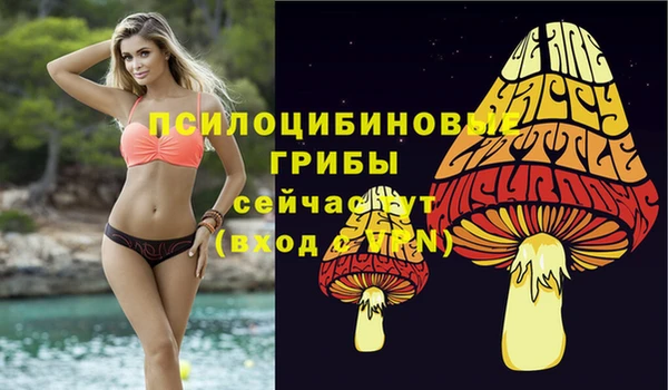 MDMA Premium VHQ Армянск