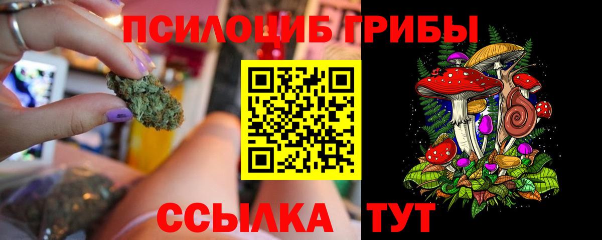 Новороссийск  Галлюциногенные грибы мицелий  Псилоцибиновые грибы Psilocybine cubensis  Вход с VPN 